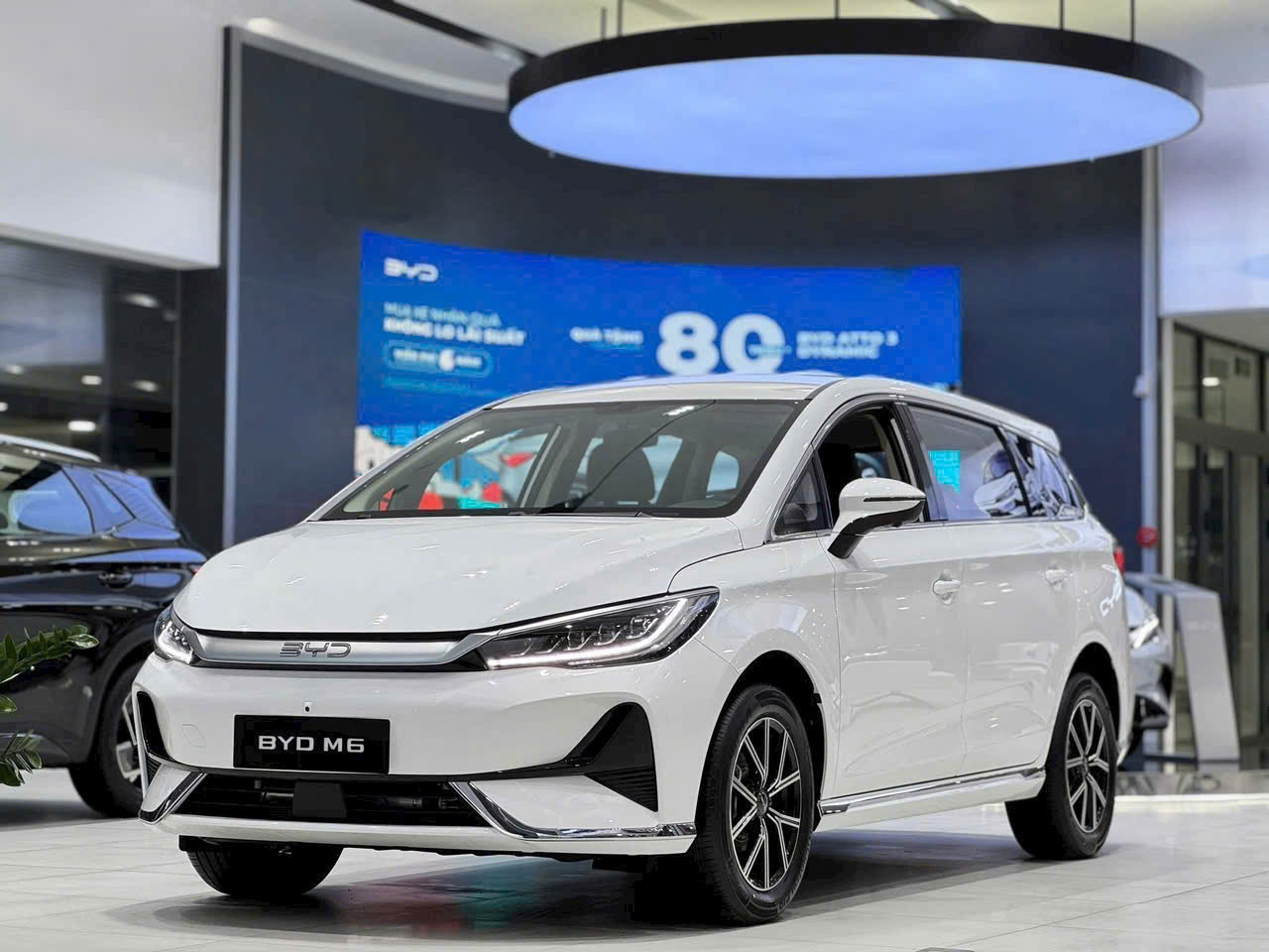 BYD M6